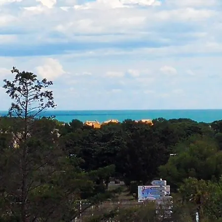 Cap Confort *