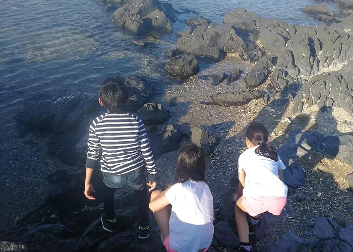 Διαμέρισμα Cap Confort Agde